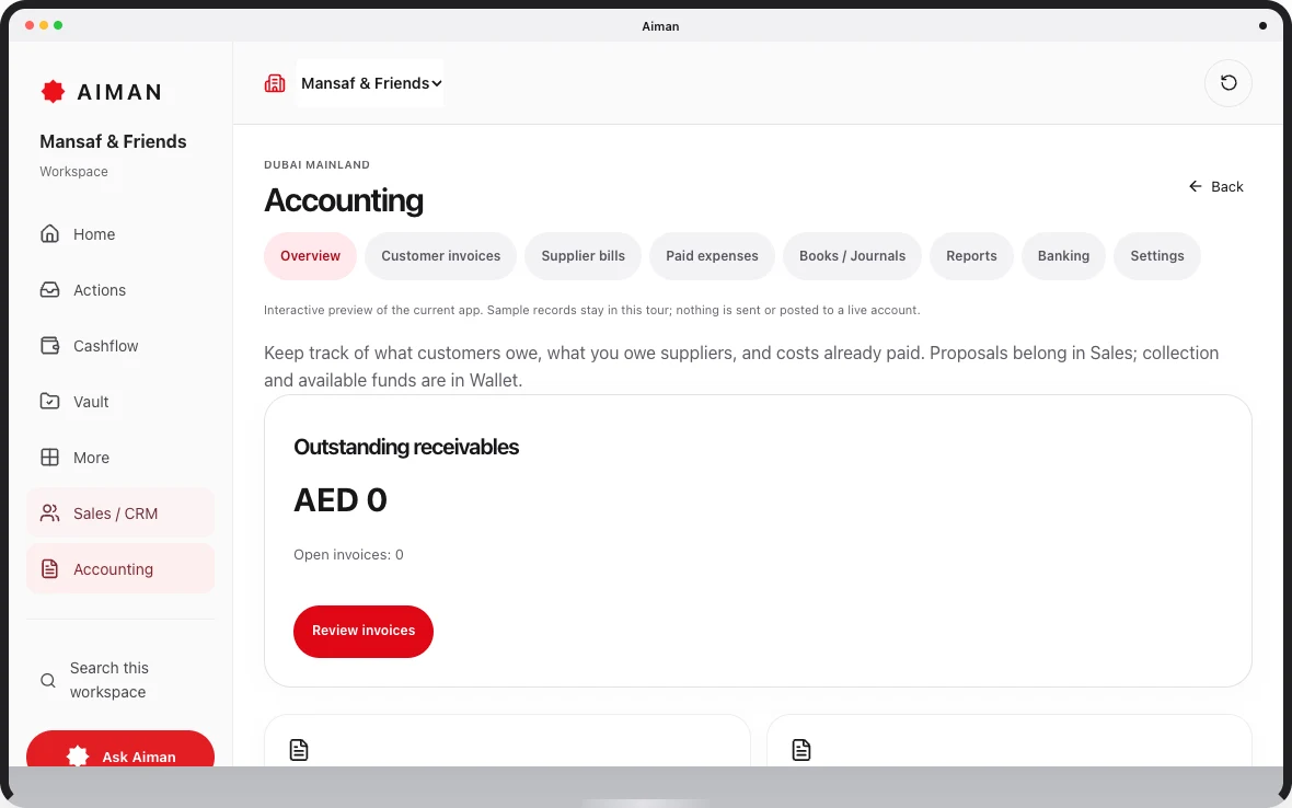 Current Aiman prototype: Accounting, with sample company records.