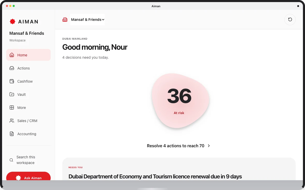 Current Aiman prototype: Business health, with sample company records.